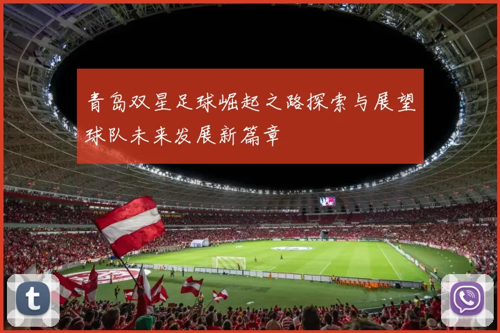 青岛双星足球崛起之路探索与展望球队未来发展新篇章