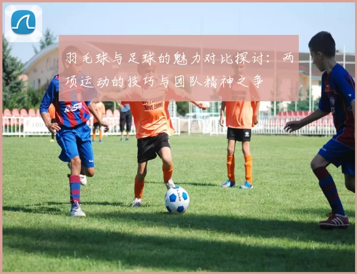 羽毛球与足球的魅力对比探讨：两项运动的技巧与团队精神之争